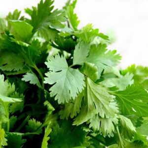 Persil plat en bouquet