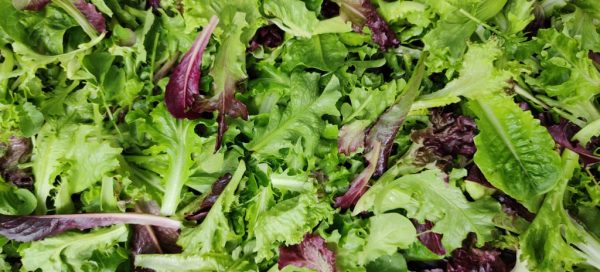 Mesclun