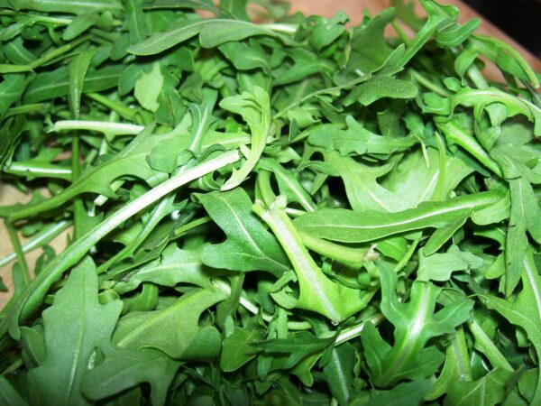 Roquette