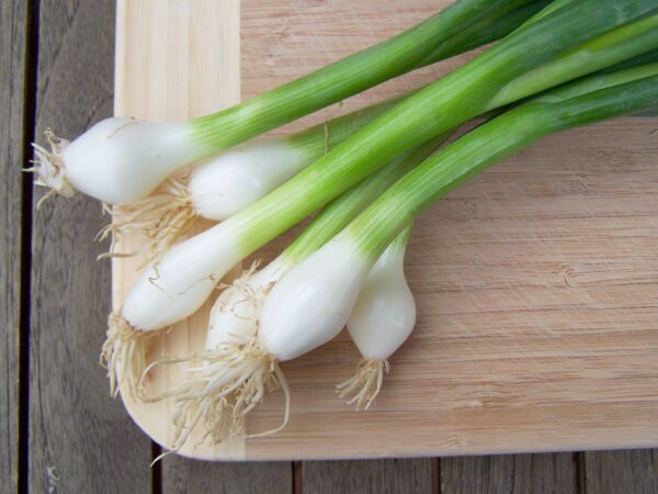 Oignons Cebette