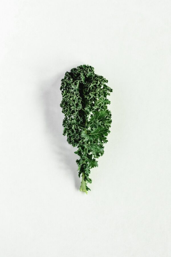 Chou kale