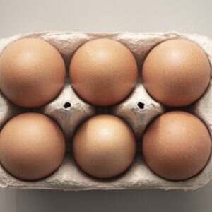 Boite 6 Oeufs BIO