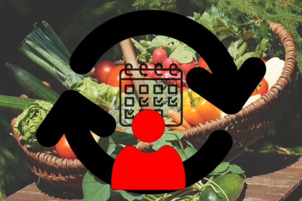 Panier Solo 10€ abonnement